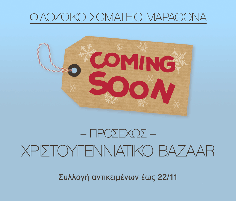 Χριστουγεννιάτικο Bazaar του Φιλοζωικού Σωματείου Μαραθώνα