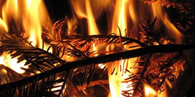 Πώς να αποφύγετε ενδεχόμενη πυρκαγιά από χριστουγεννιάτικο στολισμό