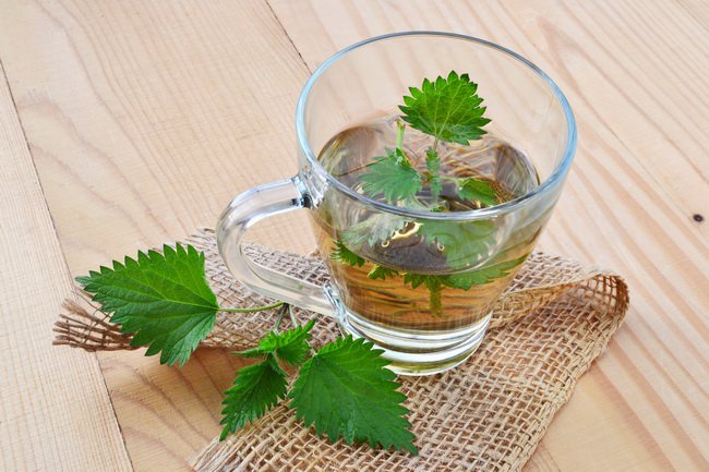 Ζεστό ρόφημα τσουκνίδα