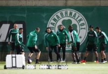 Ντου και ξύλο από οπαδούς στην προπόνηση του Παναθηναϊκού
