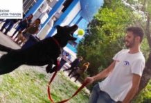 Από φόλα στον Μαραθώνα πέθανε τελικά ο εκπαιδευμένος σκύλος – οδηγός τυφλού ατόμου