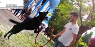 Από φόλα στον Μαραθώνα πέθανε τελικά ο εκπαιδευμένος σκύλος – οδηγός τυφλού ατόμου