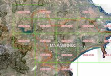 Ο Μαραθώνας και οι Δασικοί Χάρτες