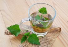 Ζεστό ρόφημα τσουκνίδα