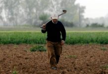 Αποζημιώσεις από τον ΕΛΓΑ σε 65.653 αγρότες και κτηνοτρόφους