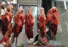 οι ελεγκτές τροφίμων του τμήματος Κτηνιατρικής Δημόσιας Υγείας της διεύθυνσης Αγροτικής Οικονομίας και Κτηνιατρικής της Περιφερειακής Ενότητας Πειραιά