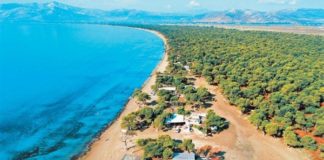 Σε δημοπρασία παραλίες του Μαραθώνα & της Αν.Αττικής - Ποιες είναι οι τιμές εκκίνησης;