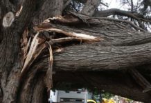 Βλάβες στην ηλεκτροδότηση λόγω των ισχυρών ανέμων
