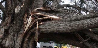 Βλάβες στην ηλεκτροδότηση λόγω των ισχυρών ανέμων