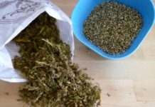 Συλλήψεις σε Γέρακα και Χαλάνδρι παραγωγή ναρκωτικών