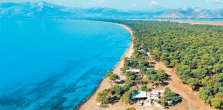 Κατεδαφίζεται η πρώτη ταβέρνα στο Σχοινιά