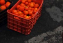 Δεσμεύτηκαν 5,6 τόνοι πορτοκάλια και μανταρίνια από του Ρέντη