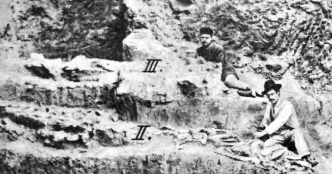 «Πικερμική Πανίδα»: Το ντοκιμαντέρ της Κινηματογραφικής Λέσχης Ράφηνας