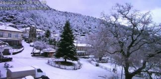 «Λητώ»: Στα λευκά ντύθηκε η μισή Ελλάδα - Χιόνι, καταιγίδες & κρύο