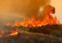 ΦΩΤΙΑ: 30 φωτιές ξέσπασαν σε 24 ώρες