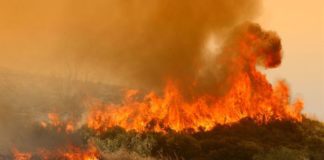 ΦΩΤΙΑ: 30 φωτιές ξέσπασαν σε 24 ώρες