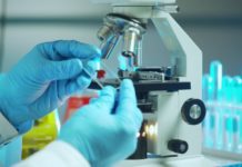 Ανακαλύφθηκε βακτήριο που προστατεύει από τον καρκινό