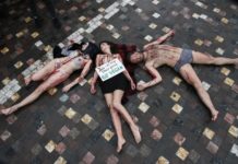 Γυμνόστηθες Vegan διαμαρτύρονται για τα δικαιώματα των ζώων στο Μοναστηράκι