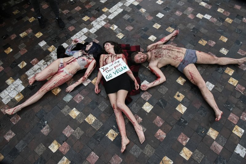 Γυμνόστηθες Vegan διαμαρτύρονται για τα δικαιώματα των ζώων στο Μοναστηράκι