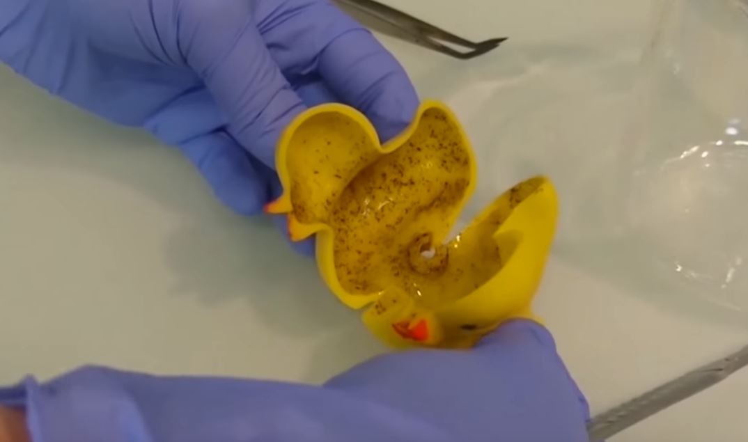 Γιατί τα πλαστικά παπάκια μπάνιου είναι επικίνδυνα για την υγεία;