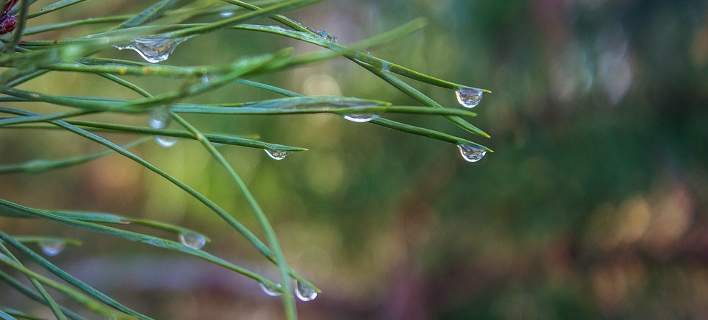 Πότε ξεκινούν οι αιτήσεις αγροτών για τα συστήματα πρόληψης ζημιών;