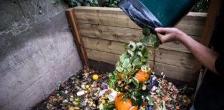 Πόσους τόνους τροφίμων πετούν καθημερινά οι Αμερικάνοι;