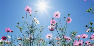 Καιρός: Αίθριος με αφρικανική σκόνη σήμερα ο καιρός