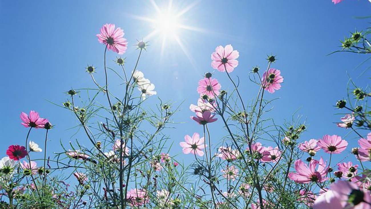 Καιρός: Αίθριος με αφρικανική σκόνη σήμερα ο καιρός