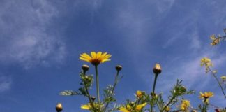 Τι καιρό θα κάνει την Πρωτομαγιά;