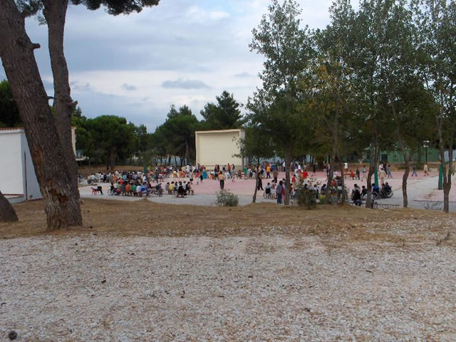 Πρόσληψη 137 ατόμων στις κατασκηνώσεις του Άγιου Ανδρέα