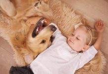 Πώς οι σκύλοι-βοηθοί αλλάζουν ζωές παιδιών με αναπηρία