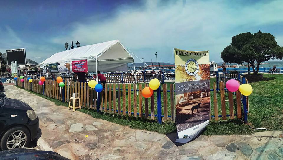 Ημέρα Υιοθεσίας Αδέσποτων στη Νέα Μάκρη