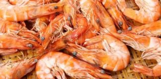 Κατασχέθηκαν 185 κιλά ακατάλληλες γαρίδες στον Πειραιά