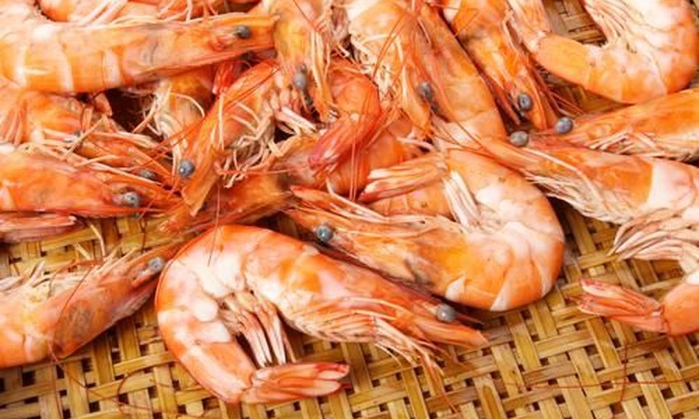 Κατασχέθηκαν 185 κιλά ακατάλληλες γαρίδες στον Πειραιά