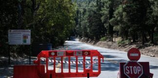 Συναγερμός για ύποπτα ευρήματα στον Υμηττό – Εξετάζεται το σενάριο για σχέδιο εμπρησμού