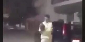 Οργή για ανήλικο που πέταξε γάτα στον αέρα και την κλώτσησε στην προσγείωση (vid)