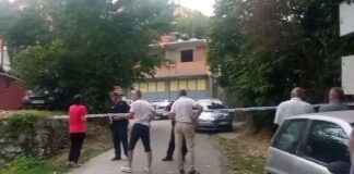 Άνδρας σε κατάσταση αμόκ σκότωσε μάνα με δύο ανήλικα παιδιά κι άλλους επτά αθώους στον δρόμο