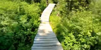 Ποδηλάτης κάνει… ακραίο mountain bike σε υπερυψωμένες γέφυρες (vid)