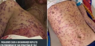 Απίστευτες εικόνες: Έξι νεκροί από τσιμπήματα όταν λεωφορείο έπεσε σε φαράγγι όπου υπήρχαν μελίσσια (vid)