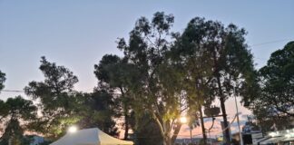 Παρουσία πολύ κόσμου και με πάνω από 50 συμμετοχές ο 2ος Μαραθώνιος Γαστρονομίας (φωτογραφίες)