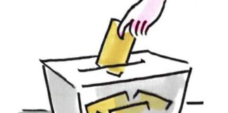 Έγιναν οι εκλογές του Συλλόγου Μακρηνών Λιβιασιανών – Τα τελικά αποτελέσματα και η πρώτη σε ψήφους