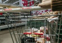 Τι αποκαλύπτει το «PosoKanei»: Από 0,86€ έως 2,85€ για το ίδιο προϊόν στα σούπερ μάρκετ
