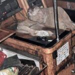 manfred-fritz-bajorat-corpse-in-sailboat