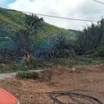 Συνελήφθη νεαρή κοπέλα για εμπρησμό στη φωτιά στον Μαραθώνα