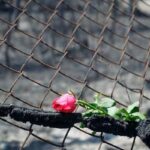 Το πρόγραμμα των εκδηλώσεων για την επέτειο 8 ετών από τη φωτιά στο Μάτι