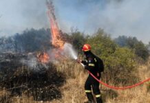 Συναγερμός στην Πυροσβεστική για φωτιά στον Μαραθώνα – Καίει καλαμιές