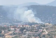 Οριοθετήθηκε η φωτιά που εκδηλώθηκε στην Παλλήνη