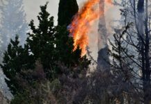 Κατάσταση συναγερμού την Τετάρτη στην Αττική – Μεγάλη προσοχή, κίνδυνος πυρκαγιάς κατηγορίας 5
