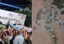 Ρέθυμνο: Μοντέλο του Νταλί και ηθοποιός του Παζολίνι η 90χρονη που πήγε στο πανηγύρι σε ξαπλώστρα