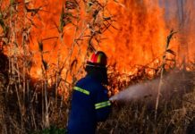 Φλέγεται η Ελλάδα: Σταδιακή εξασθένηση των ανέμων για λίγες ώρες